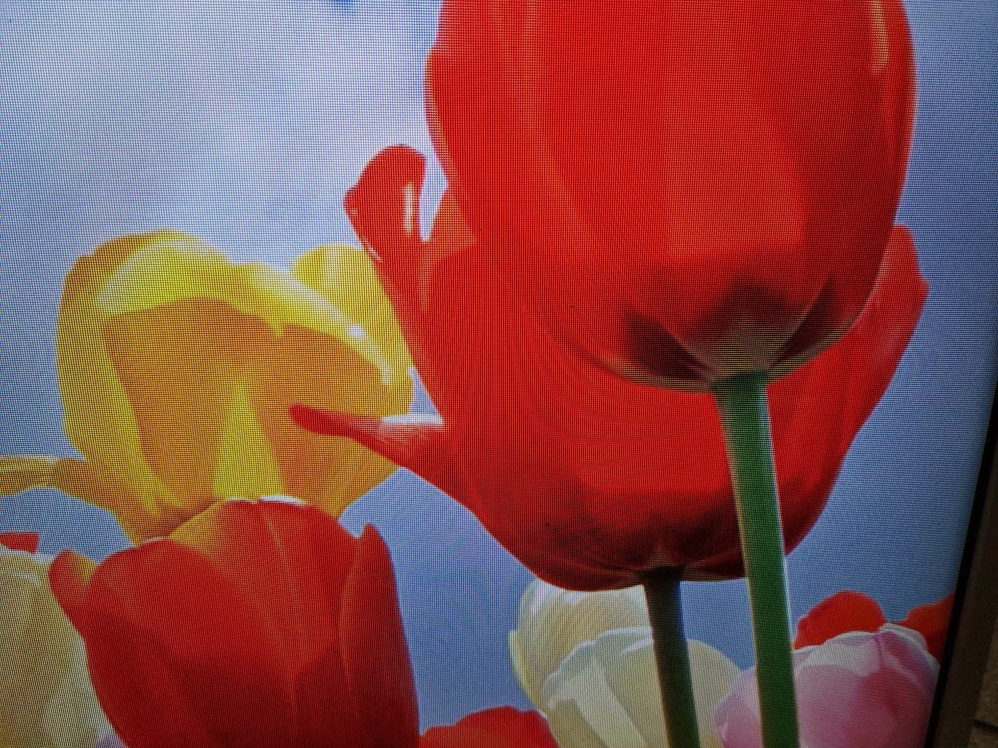 telewizor-tv-50-panasonic-tx-50cs630e-na-czesci-tylko-odbior-osobisty-marka-248811-951173