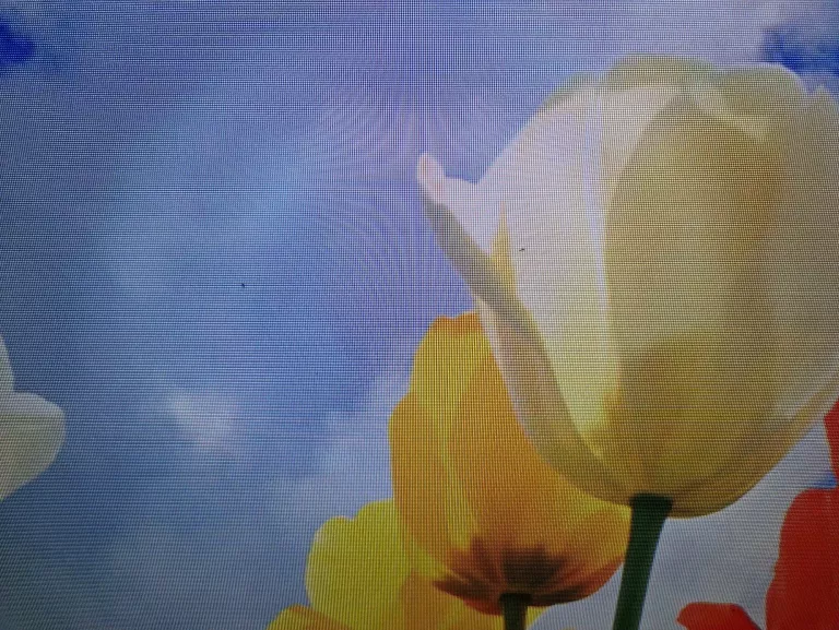 telewizor-tv-50-panasonic-tx-50cs630e-na-czesci-tylko-odbior-osobisty-smart-tv-211678-385709