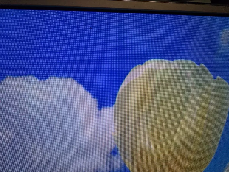 TELEWIZOR TV 50 PANASONIC TX-50CS630E [NA CZĘŚCI (TYLKO ODBIÓR OSOBISTY)]