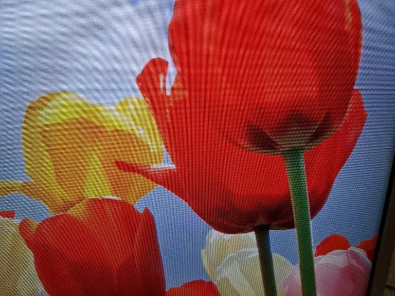 telewizor-tv-50-panasonic-tx-50cs630e-na-czesci-tylko-odbior-osobisty-marka-248811-951173