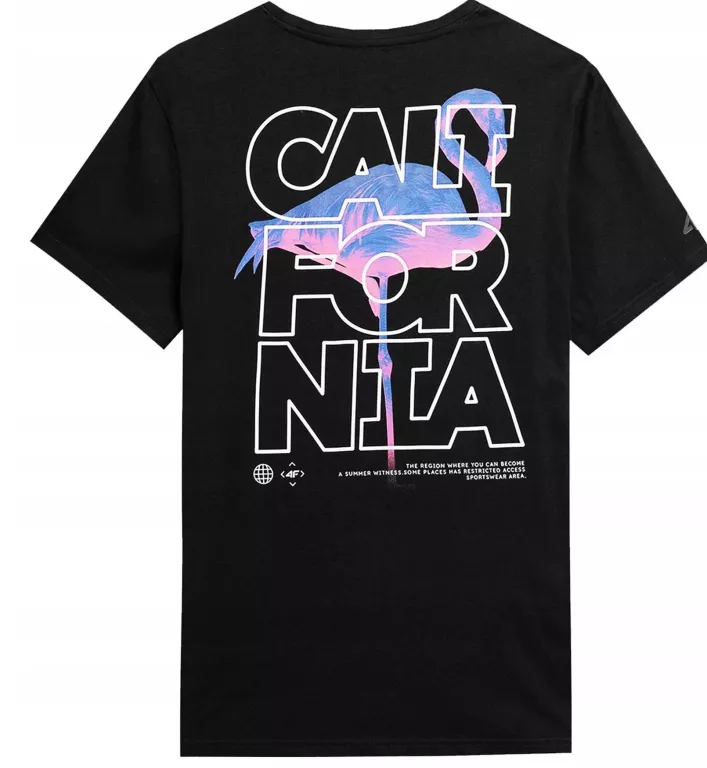 4f-koszulka-meska-nadruki-fleming-m-ean-gtin-5904698198979