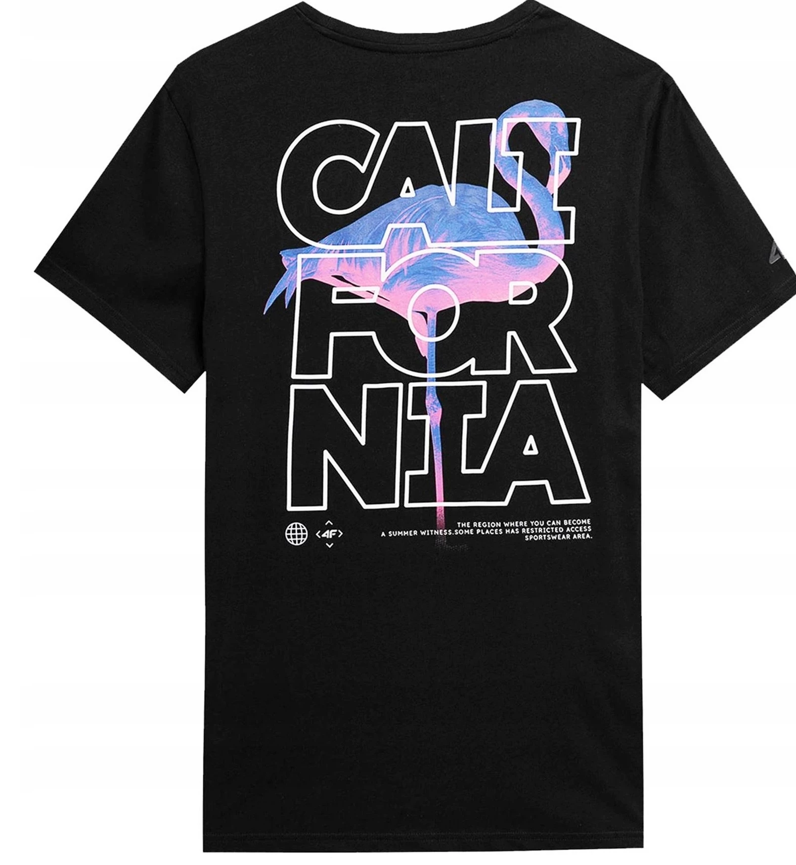 4f-koszulka-meska-nadruki-fleming-m-ean-gtin-5904698198979