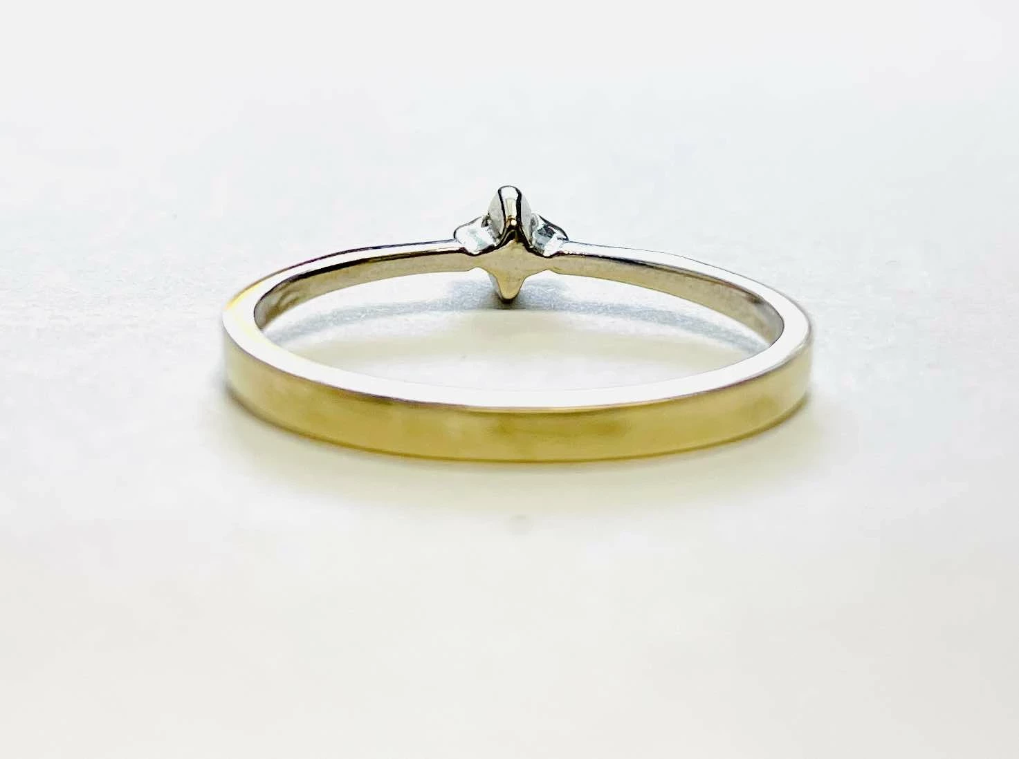 piersciomnek585147g-14q-ean-gtin-036448187102