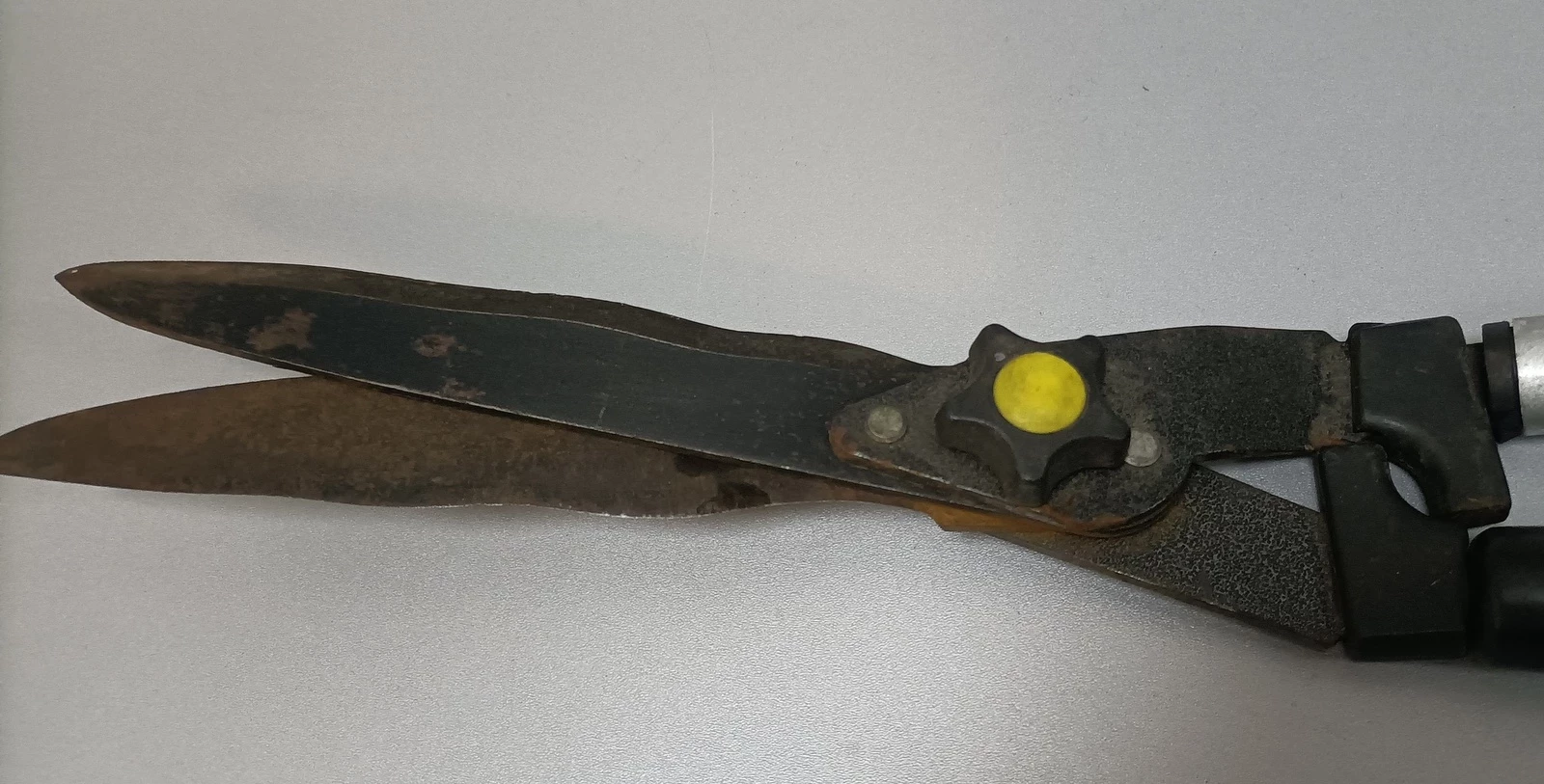 nozyce-do-zywoplotu-srebrne-ean-gtin-5907512609422