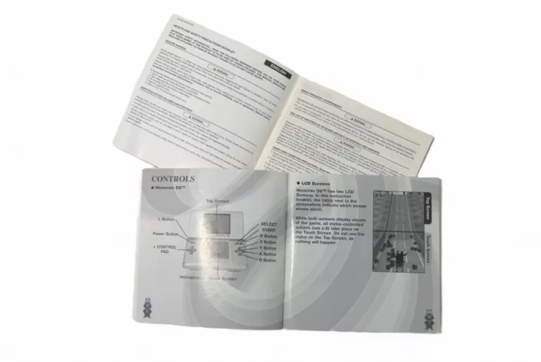 NINTENDO DS PROJECT RUB
