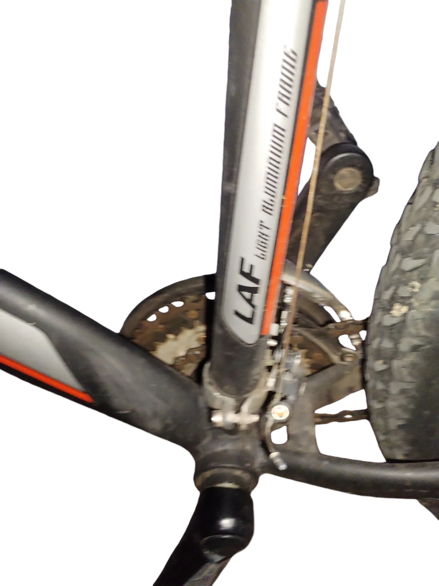 rower-teamraider-tiesso-270-material-ramy-179-1