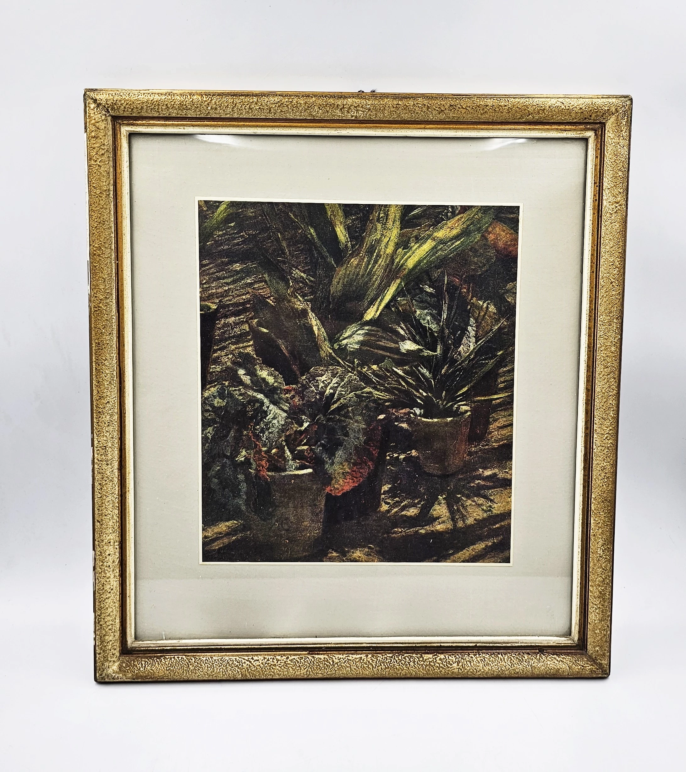 reprodukcja-obrazu-begonie-aleksander-gierymski-radosna-38-wroclaw