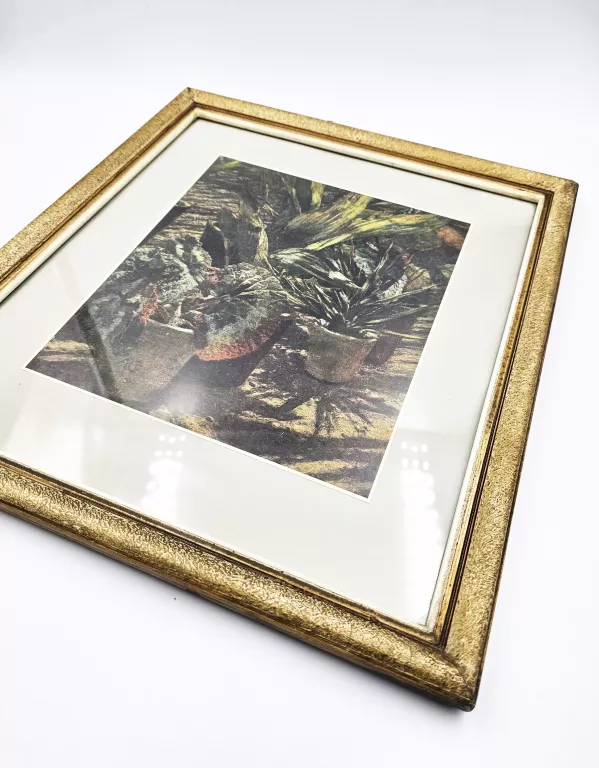 reprodukcja-obrazu-begonie-aleksander-gierymski-oryginalnosc-249348-1157616