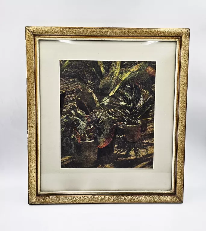 reprodukcja-obrazu-begonie-aleksander-gierymski-radosna-38-wroclaw