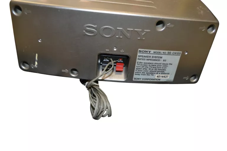 GŁOŚNIKI SONY SPEAKER SYSTEM SS-WS101 / SS- CN125