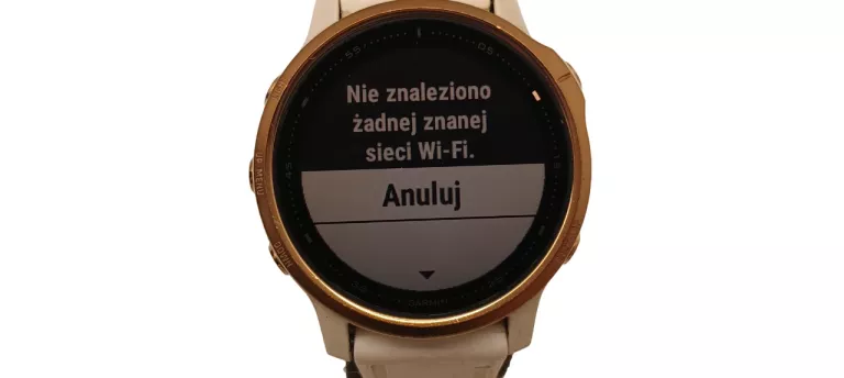 ZEGAREK GARMIN FENIX 6S PRO