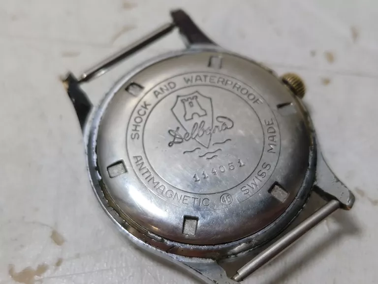 zegarek-delbana-17-jewels-material-paska-129219-4