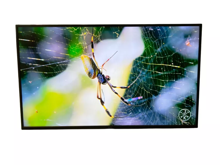 TELEWIZOR ANDROID TV 50" SHARP 50BL5EA 4K HDR CHROMECAST HEVC
