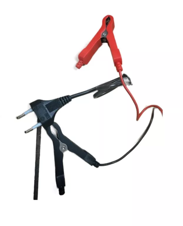 prostownik-12v-smart-repair-charger-ean-gtin-4062172248563