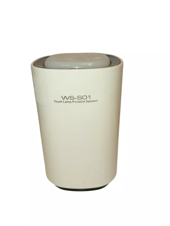 GŁOŚNIK GŁOŚNIK BLUETOOTH WSTER WS-S01