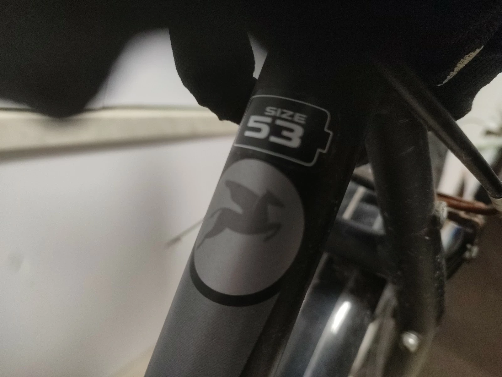sd