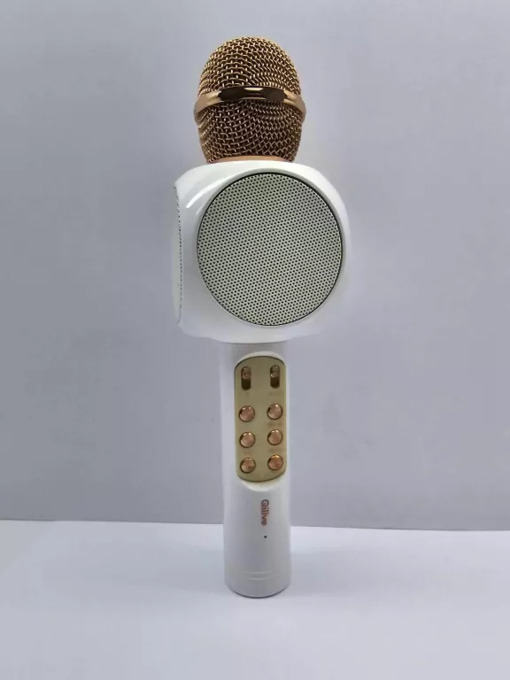 MIKROFON KARAOKE QILIVE Q.1194
