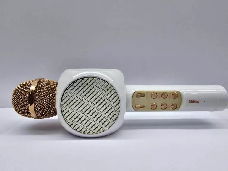 MIKROFON KARAOKE QILIVE Q.1194
