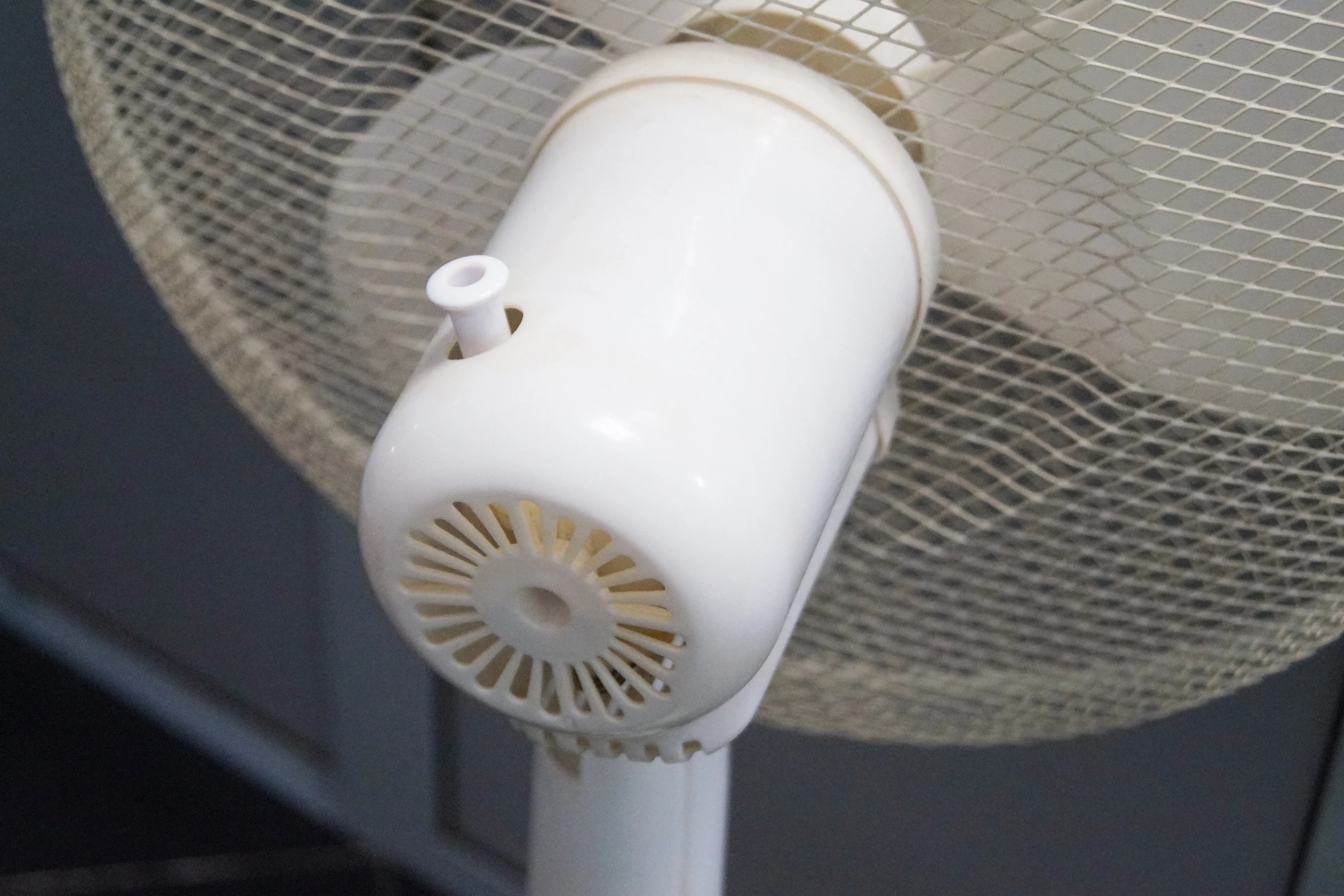 wiatrak-stojacy-sencor-sfn4047wh-funkcje-217313-4