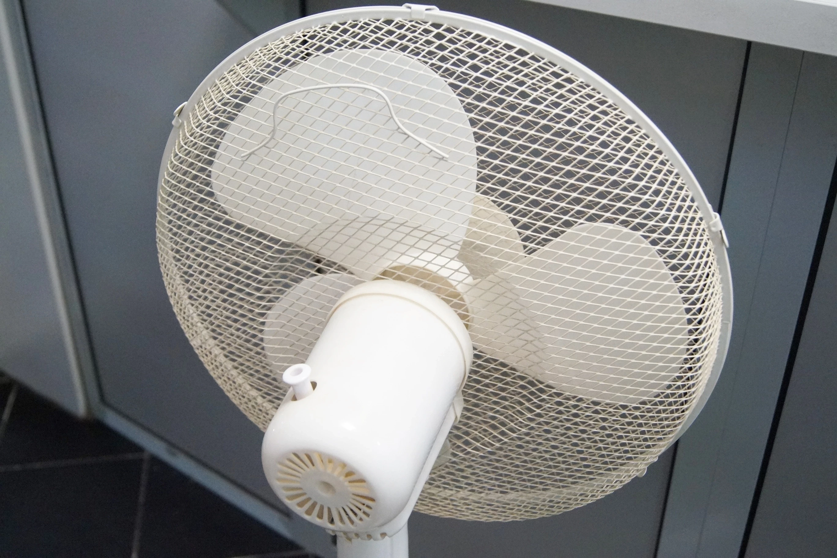 wiatrak-stojacy-sencor-sfn4047wh-rodzaj-wentylatora-26228-1