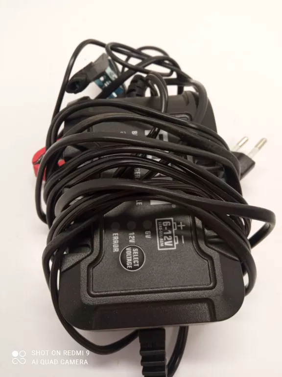 PROSTOWNIK FERM 6V/12V 2A+ PUD