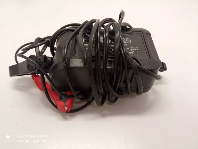 PROSTOWNIK FERM 6V/12V 2A+ PUD