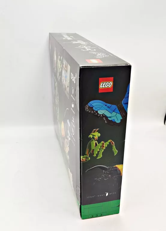 LEGO IDEAS 21342