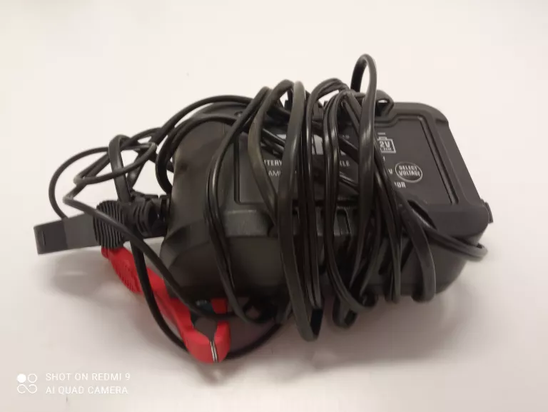 PROSTOWNIK FERM 6V/12V 2A+ PUD