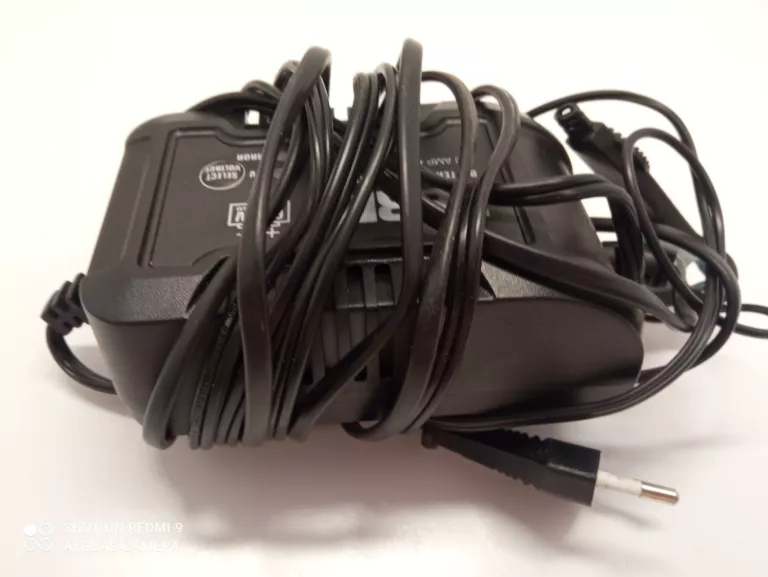 PROSTOWNIK FERM 6V/12V 2A+ PUD