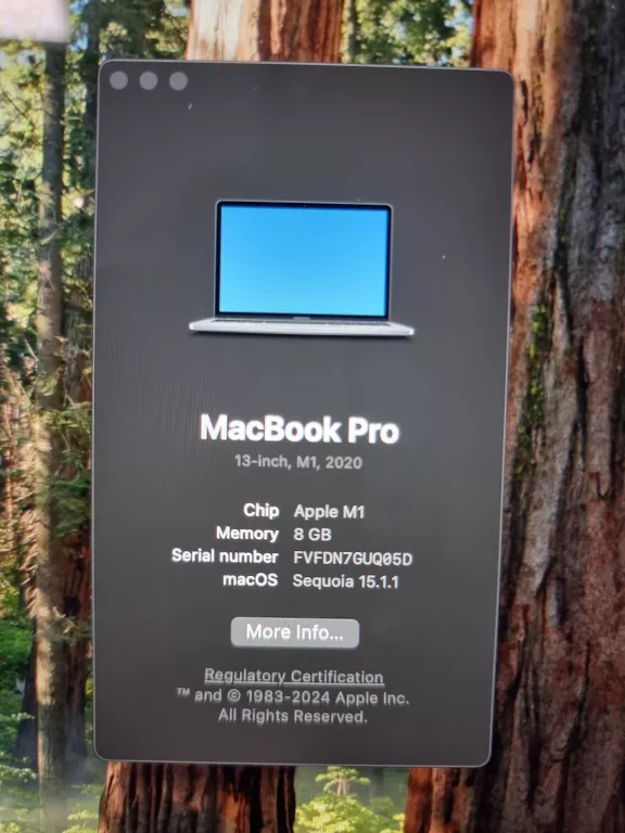 APPLE MACBOOK PRO A2338 M1 8/256GB