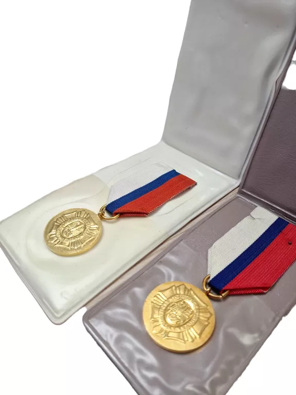 ZŁOTY MEDAL ZA ZASŁUGI DLA LIGI OBRONY KRAJU