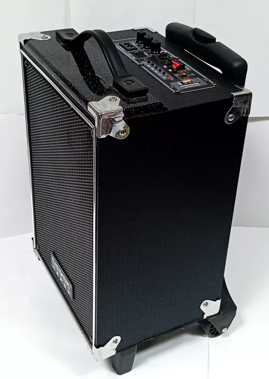 glosnik-temeisheng-dp-191-stan-11323-2