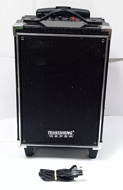 glosnik-temeisheng-dp-191-11-listopada-27-konin