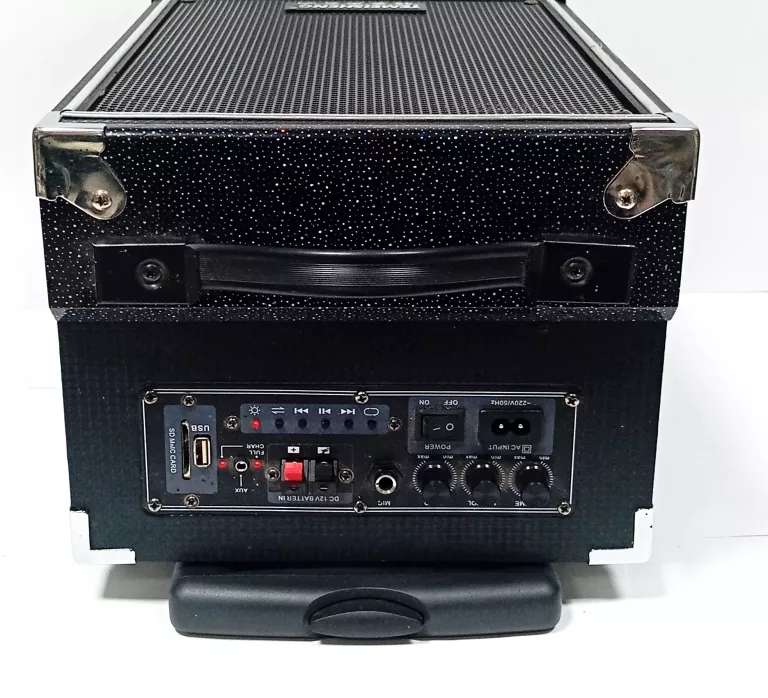 glosnik-temeisheng-dp-191-moc-100