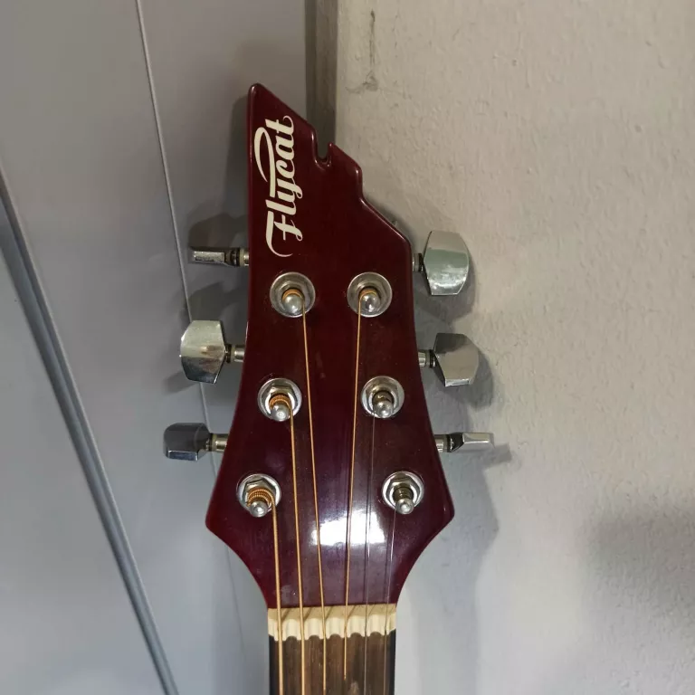 GITARA AKUSTYCZNA FLYCAT STANDARD