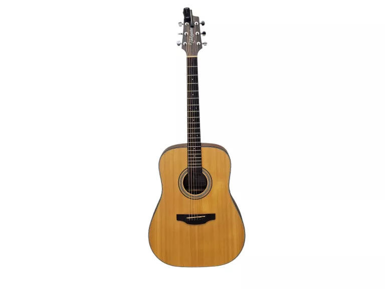 GITARA AKUSTYCZNA TAKAMINE GD10 NS + TUNER GITAROWY CHERUB WST 640G