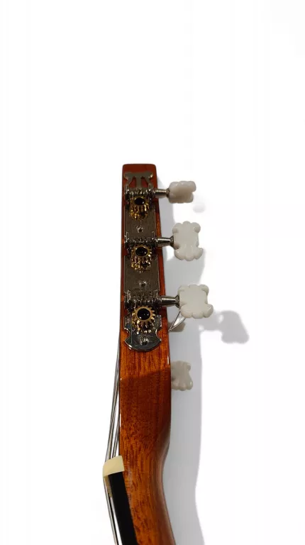 GITARA SAMICK GREG BENNETT C-2