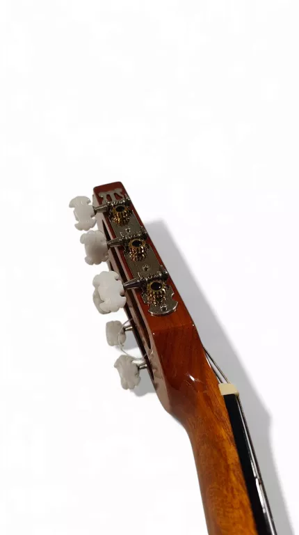 GITARA SAMICK GREG BENNETT C-2