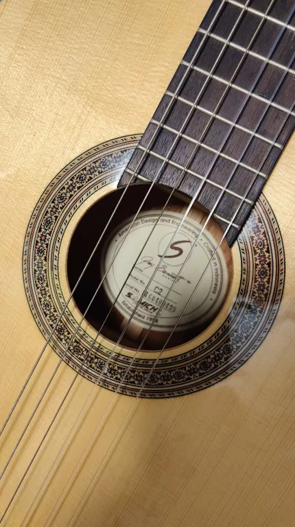 GITARA SAMICK GREG BENNETT C-2