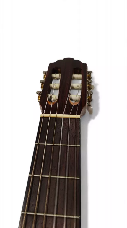 GITARA SAMICK GREG BENNETT C-2