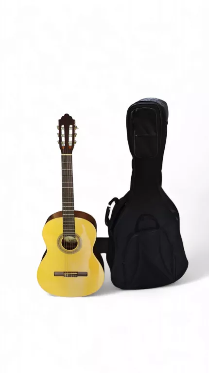 GITARA SAMICK GREG BENNETT C-2