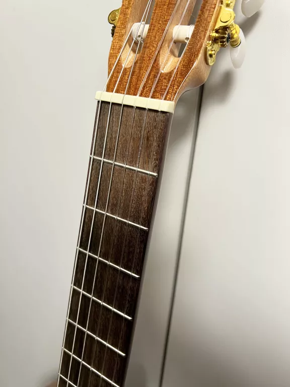 GITARA KLASYCZNA CORDOBA PROTEGE C1