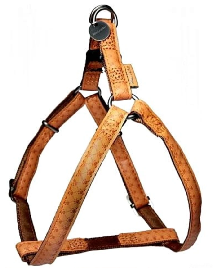 szelki-regulowane-zolux-mac-leather-20mm-zolty-legnicka-66-wroclaw