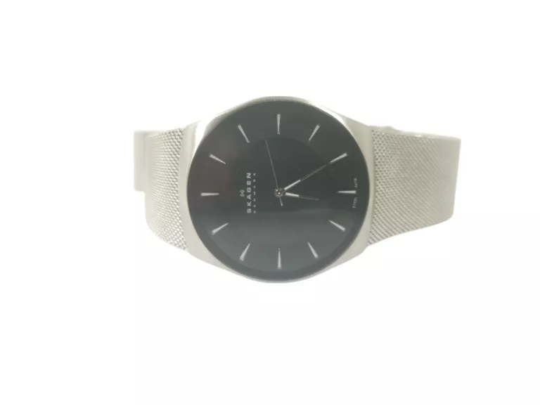 ZEGAREK SKAGEN SILVER MESH SKW 6019