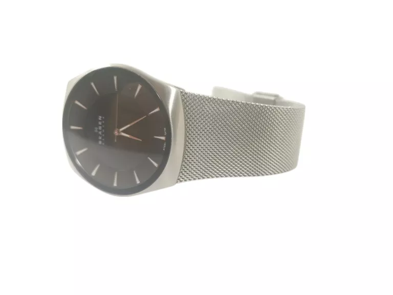 ZEGAREK SKAGEN SILVER MESH SKW 6019