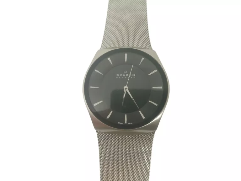 ZEGAREK SKAGEN SILVER MESH SKW 6019
