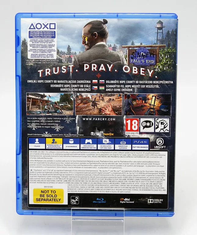 GRA NA KONSOLĘ PS4 FAR CRY 5