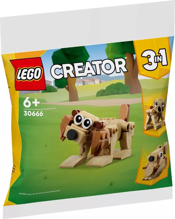 LEGO 30666 CREATOR PREZENTOWE ZWIERZĘTA & LEŚNY PLAC ZABAW AURORY