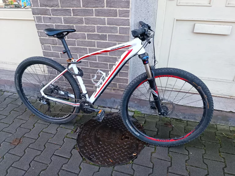 MTB SPECIALIZED ROCKHOPPER COMP RAMA L KOŁA 29