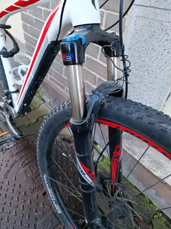 MTB SPECIALIZED ROCKHOPPER COMP RAMA L KOŁA 29